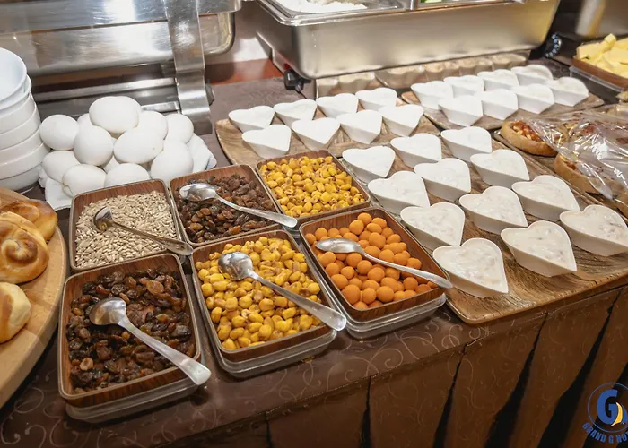 Grand G By Generalturist Group 4* Skopje